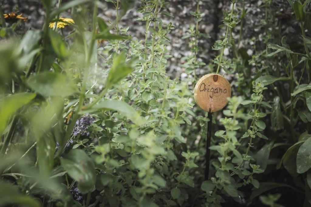Ahrn Natur Apartment Lutago Exterior photo